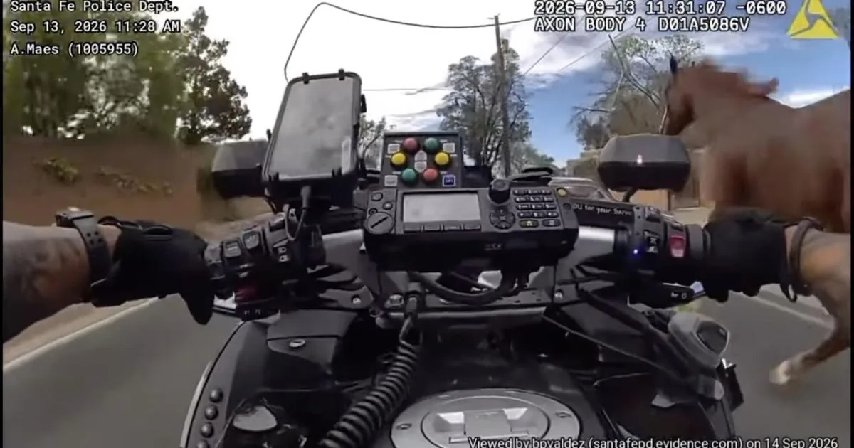 Santa Fe police motorcycle officer pursuing a runaway horse during a downtown parade chase