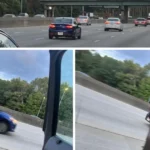 Virginia State Police seek tips in a 2023 fatal fight near Interstate 64 in Newport News