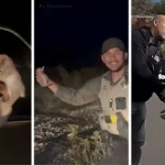 A patrol car parked on a road, with a viral police video at the center of backlash