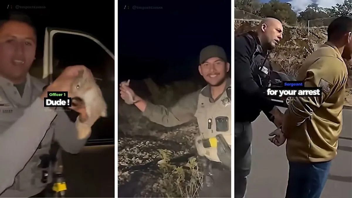A patrol car parked on a road, with a viral police video at the center of backlash